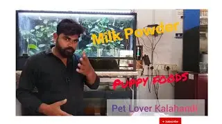Puppy foods #1million #dog #dogfood  #royalcanindogfood PET Lover Kalahandi