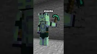 This player mined faster than anyone else on my Minecraft server #minecraft #server #smp