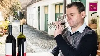 Winzer des Monats April 2015 - Gerhard Markowitsch [Trailer]