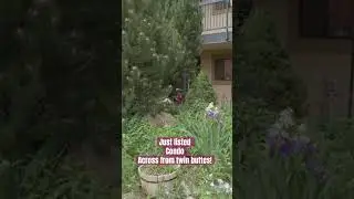 Condo living in Durango, CO #realestate
