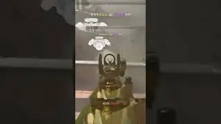 GOLD Fennec Is META In MODERN WARFARE 2!