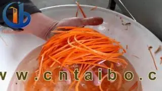 Carrot Sticks Cutter