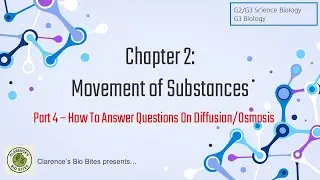 Chapter 2: Movement of Substances (Part 4 - Answering Questions)