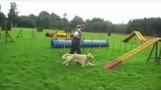 SV ITZEHOE - Agility Training06