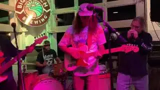 John Martin Davis, Austin Thompson, Brent Varner playing at Big Beach Brewery