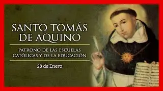 ➤ ¿Quién fue Santo TOMÁS de AQUINO? Biografía (Completa) ✔