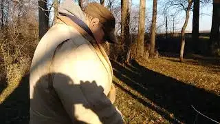 Tree faller