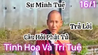 16/1 Sư Thầy Minh Tuệ trả lời tinh hoa trí tuệ từng câu hỏi của phật tử quá hay , Thầy giảng pháp