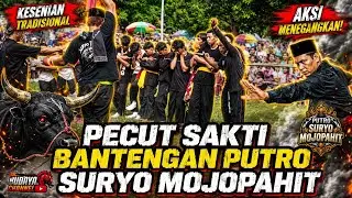 Pecut Sakti Bantengan Putro Suryo Mojopahit Live Cfd Poh Kecik Dlanggu Mojokerto