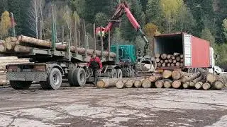 Spruce Logs Loading - 03