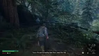 Days Gone Easy Permadeath first run for platinum,with patches and horde assault rewards