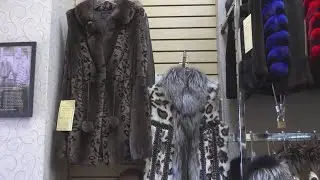 Expert Fur Care and Restyling with Holloway Furs