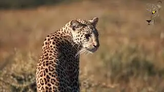 OKONJIMA NATURE RESERVE