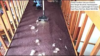 Eureka React Sense Cordless Vacuum Cleaner, Anti-Tangle Brushroll, Rechargeable, Lightweight