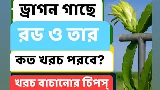 রট ও তার ব্যবহার ক্ষেত্রে কেমন খরচ  ও পরিমান। DREAM village । 6 July, 2025