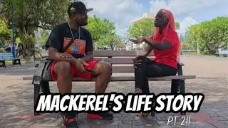 mackerel&rsquo;s life story part 2!!