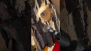 Cheap Amazon Angle Grinder Rotary Burr #woodworking #besttools #powertool #powertools #anglegrinder