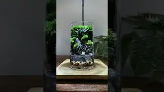 Nature in a glass, do you like such a micro landscape Do you #shortsvideo