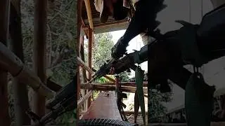how to handling ak 47 rifle 👌🪖 #shortvideo