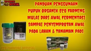 Panduan Mulai Awal Fermentasi Sampai Penyemprotan Lahan & Tanaman Padi Menggunakan Eco Farming..!!