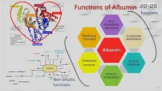 Role of Human Albumin in DCLD by Dr Nadeem Tehami - PSH 22