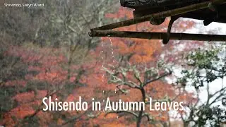 [4K Kyoto] Shisendo(詩仙堂丈山寺) in Autumn Leaves