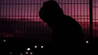 Stein.AC - luxuria