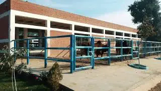 Semen Production Unit Qadirabad