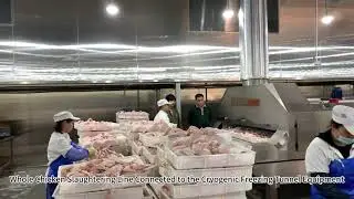 Cryogenic Freezing Tunnel Equipment: The Perfect Solution for Whole Chicken Production