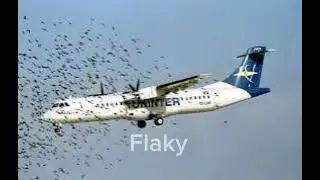ATR-72-202 Stall Alarm (Tuninter 1153)