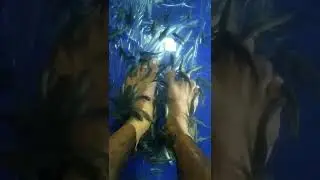 💥🤯Fish Pedicure பண்ணிருக்கீங்களா...⁉️🔥 #shorts #nivasvlogs #trending