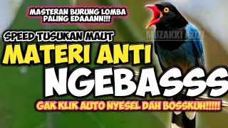 MATERI TERBAIK!!! FULL TEMBAKAN PEDAS NYELEKIT SUPER NUSUK!! MASTERAN BURUNG LOMBA KICAU MURAI BATU