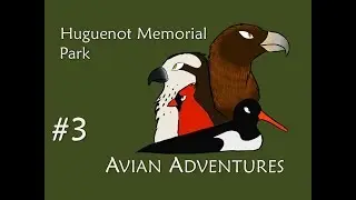 Avian Adventures - Episode 3 - Huguenot Memorial Park