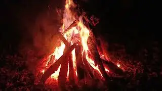 January FIRE Solitude in the Woods. #viral #asmr #fire #fireplace