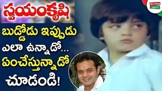 Unknown Facts About Swayam Krushi Child Actor Arjun | Child Artist Master Arjun Now