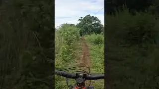 Goat language
