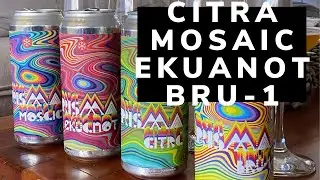 Citra Mosaic Ekuanot Bru-1,  cata 7 cervezas single-hop Granizo Prisma - parte 2/3