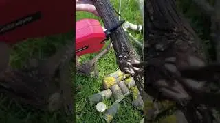 🙂🤝🔋Корисний і зручний секатор Leader