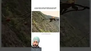 Kea baat a🤔🤔💪 #motivation #motivational #memes #animals #discipline #goals #focus
