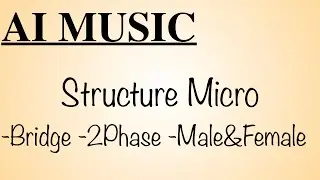 Structure Micro -Bridge -2Phase -Male&Female | Composed with AI