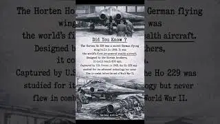 Horten Ho 229 | World War 2 | A Secret Air Craft