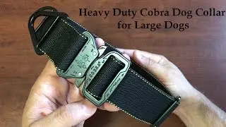 Tactical Dog Collar with Cobra Buckle from Miles Tactical
