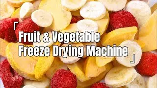 Freeze Dryer Machine | Industrial Freeze Drying Solution for Fruits & Vegetables