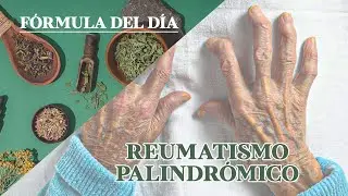 F&Oacute;RMULA HERBOLARIA PARA REUMATISMO PALINDR&Oacute;MICO