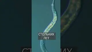 Ученые оживили ЧЕРВЯ, который спал 48 тысяч лет