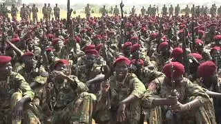 ORGANIZED FORCES DEPLOYED DURING THE NEW YEAR CELEBRATIONS