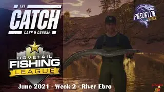 Online Tournament &brvbar; Predator Series  &brvbar; River Ebro &brvbar; The Catch Carp and Course