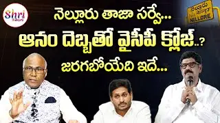 Nellore Politics | MLA Anam Ramanarayana Reddy Latest News | YS Jagan | AP News | Shritv Telugu