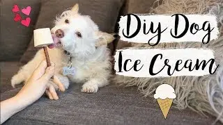 DIY Dog Ice Cream | Easy Pet DIYs
