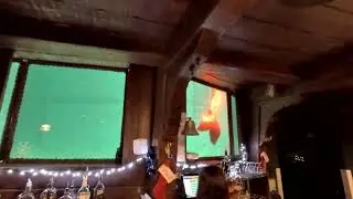 Red Tailed Mermaid swimming in the tank at The Wreck Bar with Johnny
